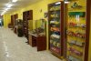 Museum