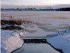 Winter am Nonnensee von Tochter Kati (29.01.2007)