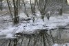 Winter in Negast (27.01.2005)