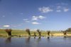 geflutete Wiese (21.03.2005)