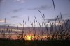 Sonnenuntergang bei Rambin (27.06.2005)