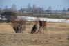 Hochsitz (06.03.2006)