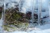 Trotz Eis und Schnee (06.03.2006)