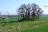 H&uuml;gelgrab Neun Berge bei Samtens (28.04.2006)