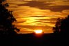 Sonnenuntergang mit Rehe (06.09.2006)