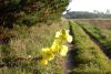 Noch ein bisschen Sommer(16.10.2006)
