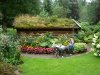 Blumen fahren spazieren
