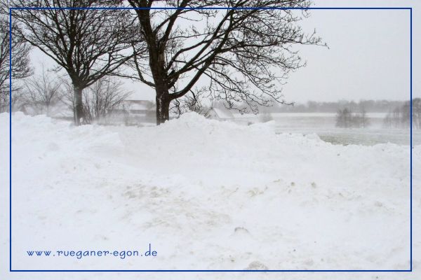 Foto; Egon Nehls