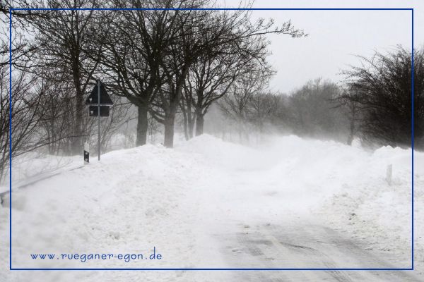Foto; Egon Nehls
