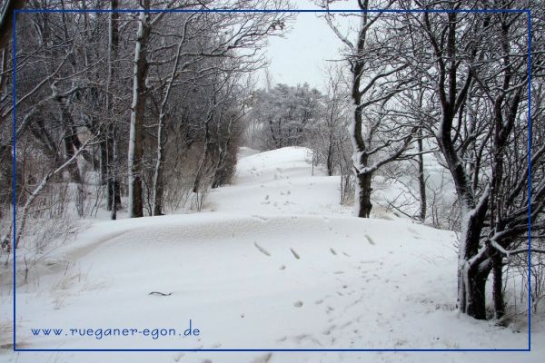 Foto; Egon Nehls